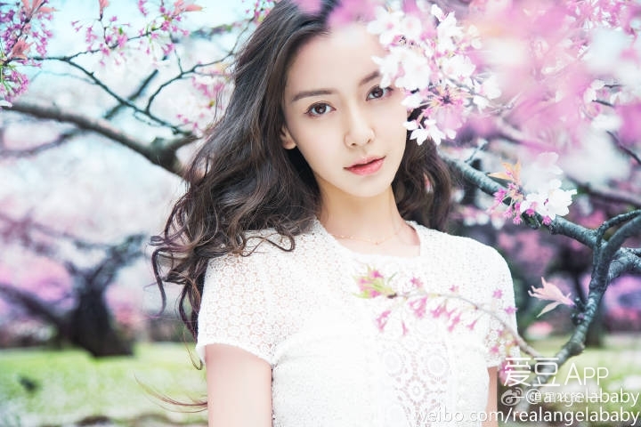 [Angelababy][新闻]160427 baby全新《樱花说》