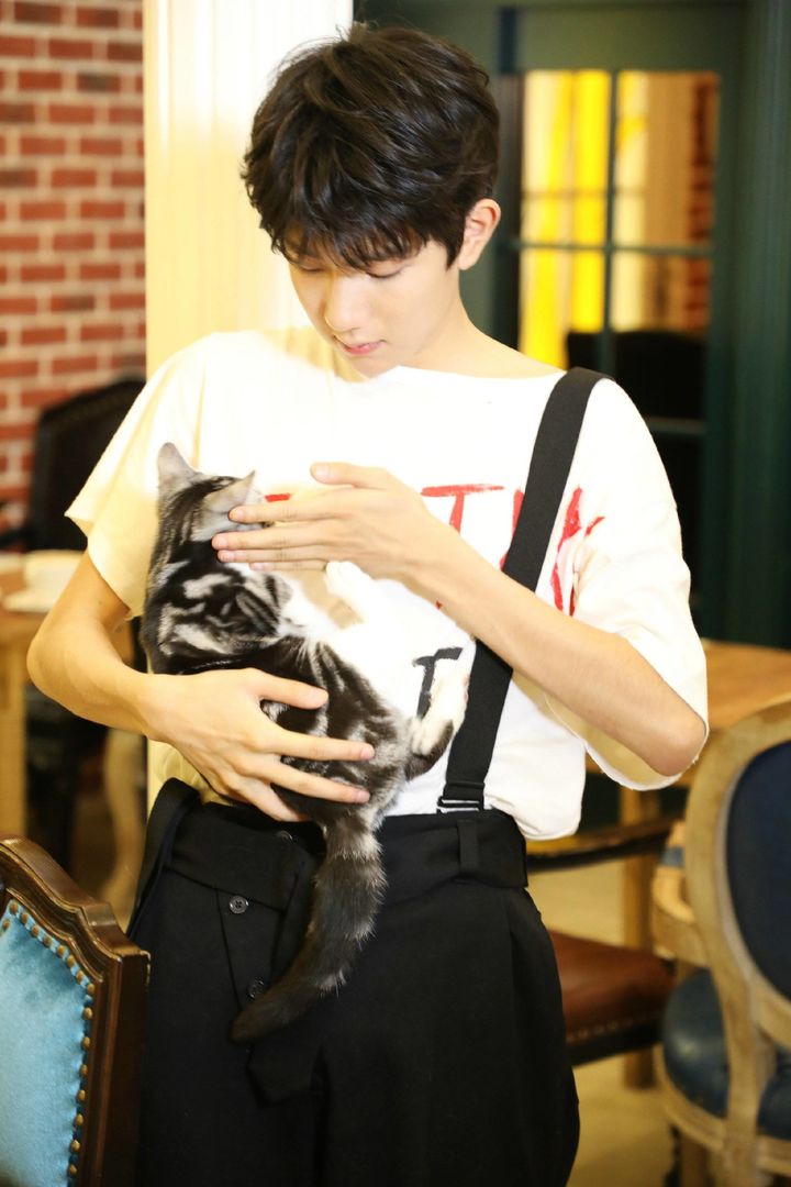 [tfboys][分享]170613 王源单手抱猫猫狗狗 青筋暴起戳中苏点