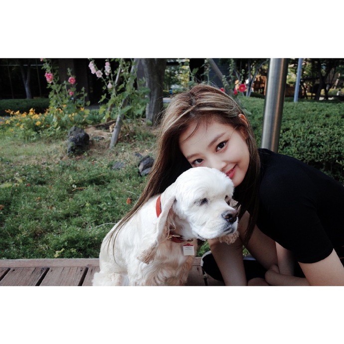 [blackpink][分享]170710 jennie与狗狗的周末 捕捉到一只失宠的kuma