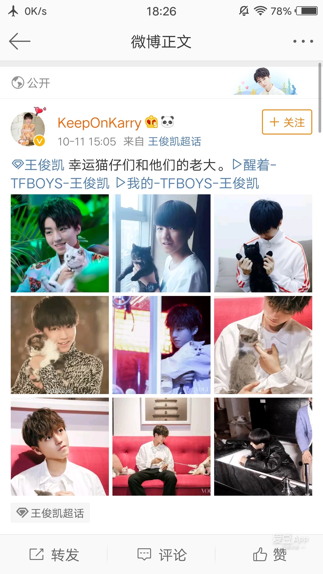[tfboys][分享]181011 王俊凯与猫,猫系少年的逗猫日常