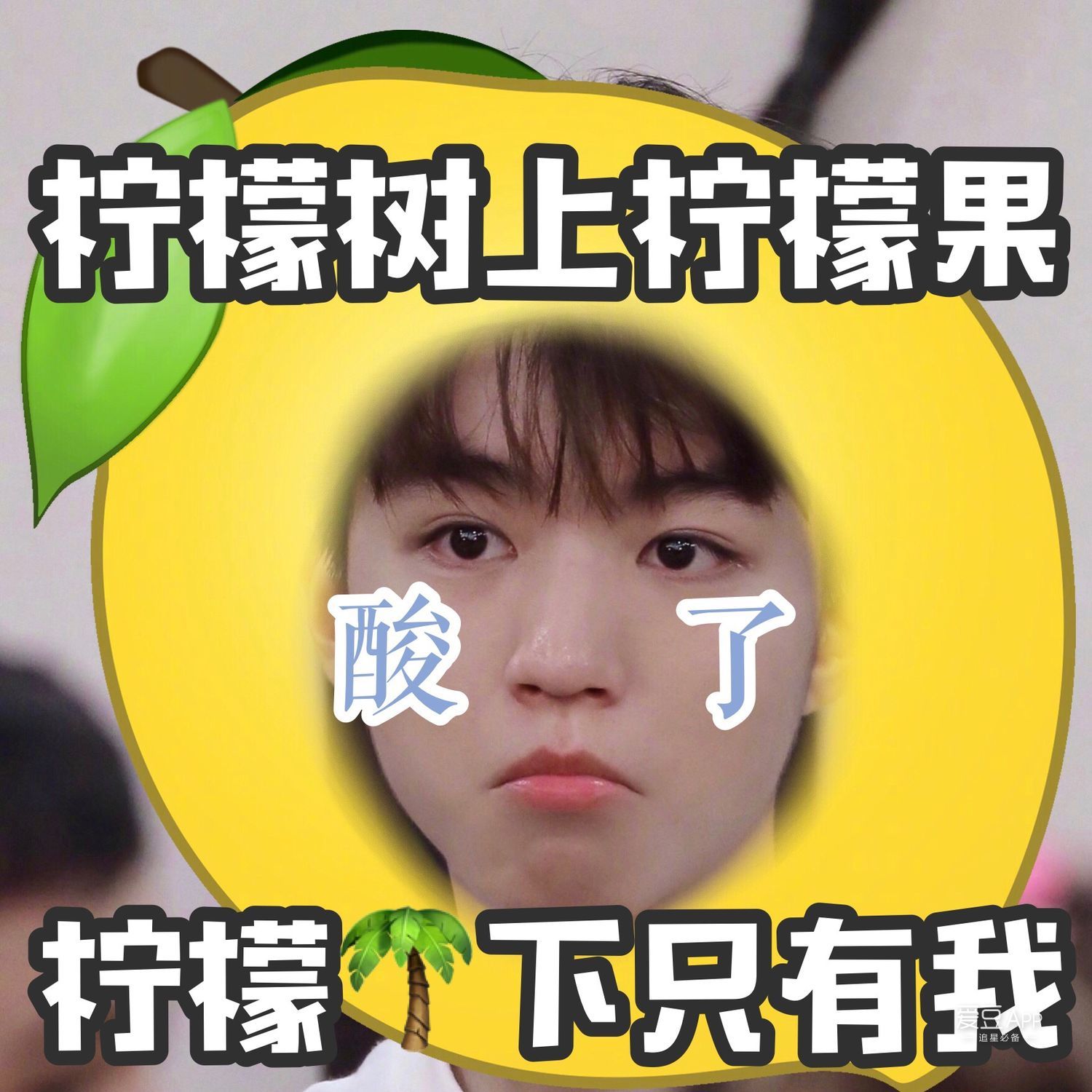 [tfboys][分享]190209 一大波柠檬酸表情包来袭,坐等王俊凯翻牌