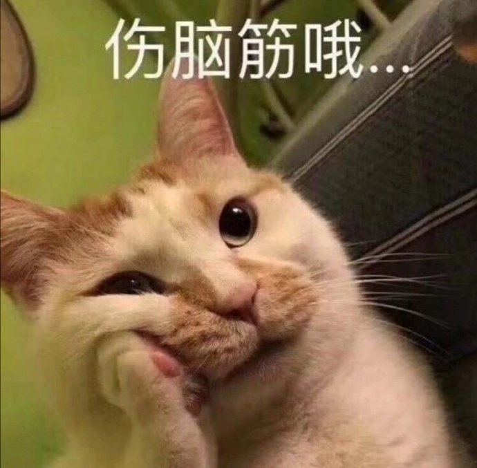 新闻列表 > 新闻详情 昨晚战战更新绿洲晒出了新的小猫咪表情包,托腮