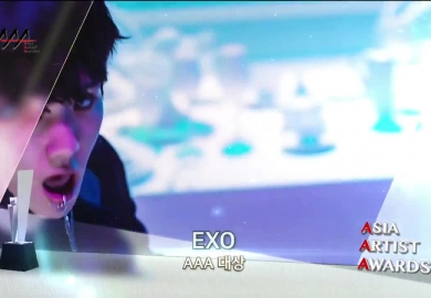161116【EXO】2016 Asia Artist Awards 歌手部门大赏