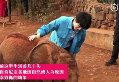190316【王俊凯】探访大象孤儿院并领养小象