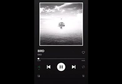 191010【EXO】日文单曲《Bird》音频 完整版