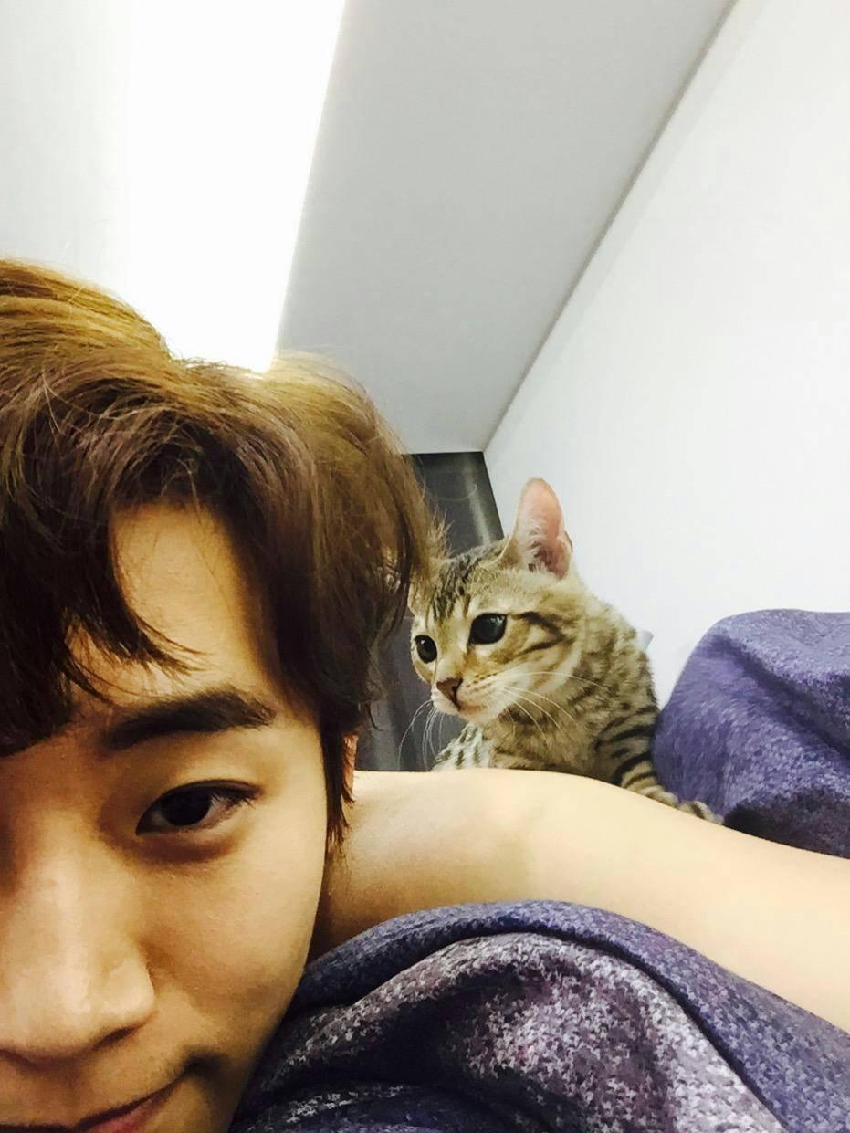 [2pm[新闻]150130 俊昊少爷更新推特自拍一张